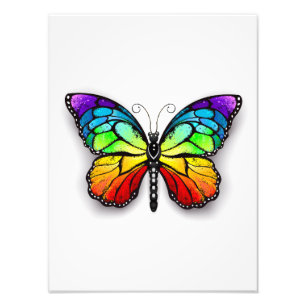 Rainbow butterfly Monarch Photo Print