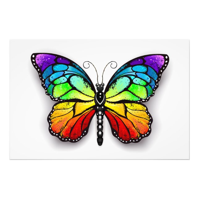 Rainbow butterfly Monarch Photo Print (Front)