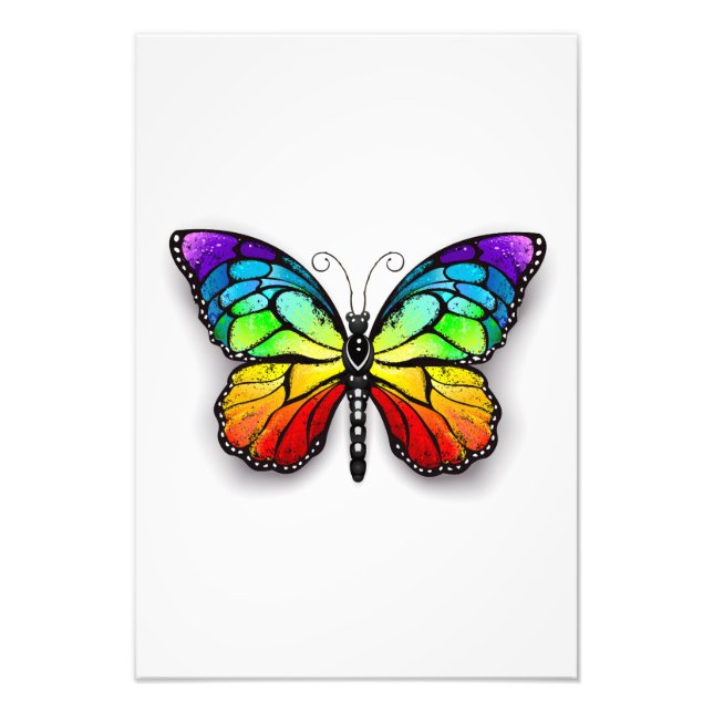 Rainbow butterfly Monarch Photo Print (Front)