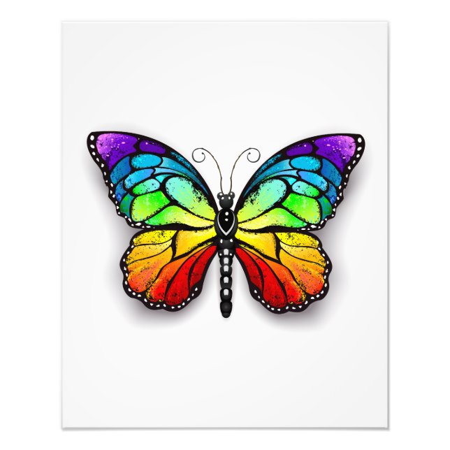 Rainbow butterfly Monarch Photo Print (Front)