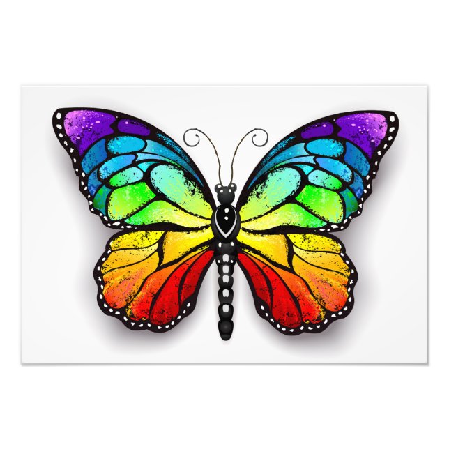Rainbow butterfly Monarch Photo Print (Front)