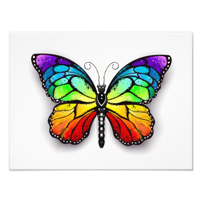 Rainbow butterfly Monarch Photo Print (Front)
