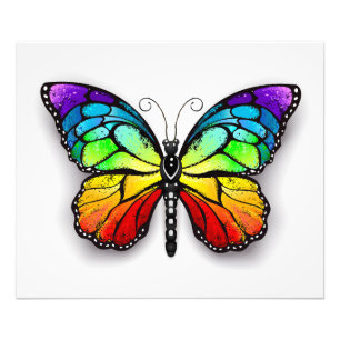 Rainbow butterfly Monarch Photo Print