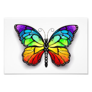Rainbow butterfly Monarch Photo Print