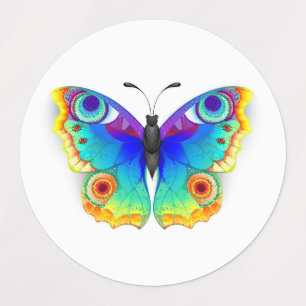 Rainbow Butterfly Peacock Eye