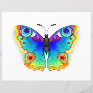 Rainbow Butterfly Peacock Eye