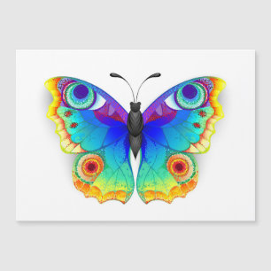 Rainbow Butterfly Peacock Eye