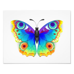 Rainbow Butterfly Peacock Eye Photo Print
