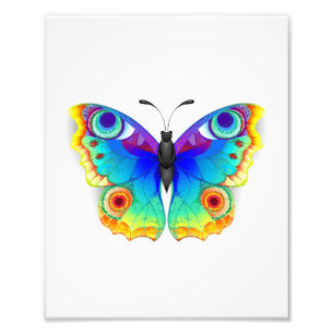 Rainbow Butterfly Peacock Eye Photo Print