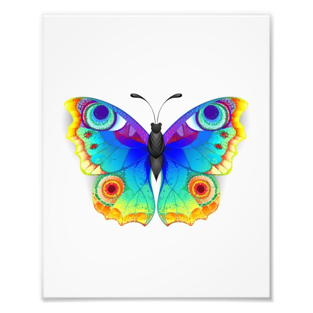 Rainbow Butterfly Peacock Eye Photo Print (Front)
