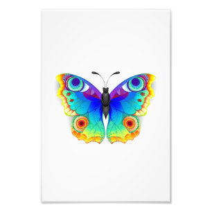 Rainbow Butterfly Peacock Eye Photo Print