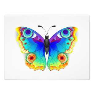Rainbow Butterfly Peacock Eye Photo Print