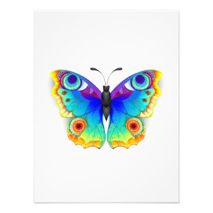 Rainbow Butterfly Peacock Eye Photo Print