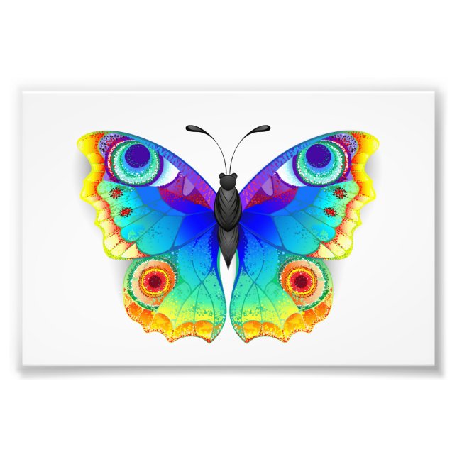 Rainbow Butterfly Peacock Eye Photo Print (Front)