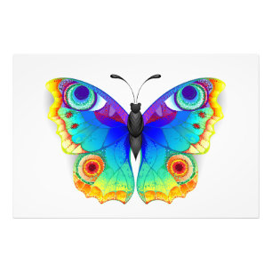 Rainbow Butterfly Peacock Eye Photo Print