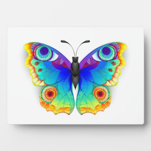 Rainbow Butterfly Peacock Eye Plaque