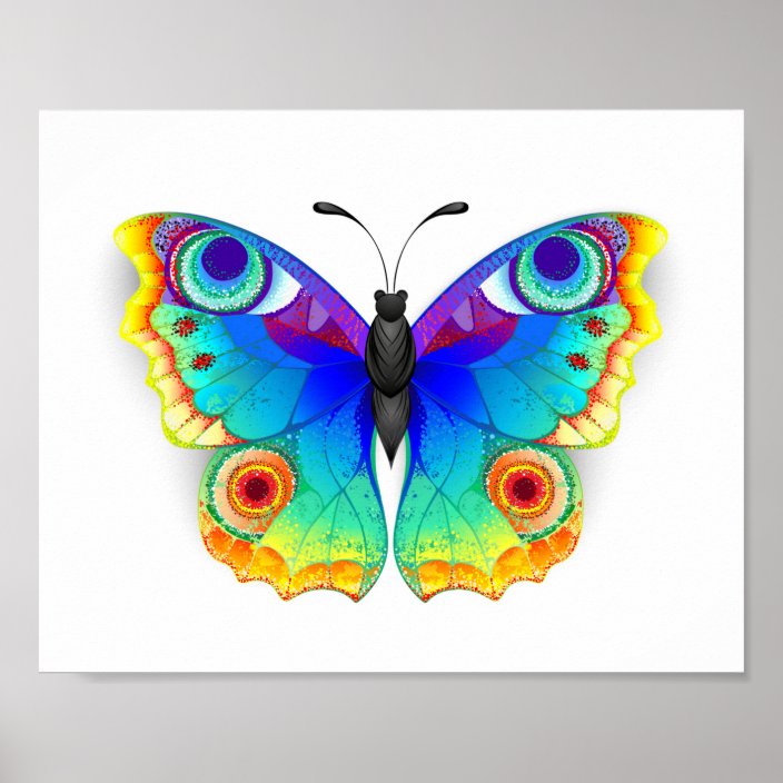 Rainbow Butterfly Peacock Eye Poster | Zazzle.ca