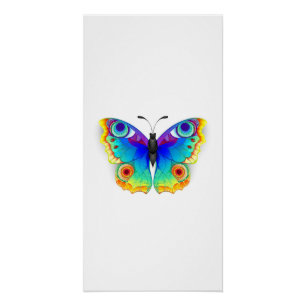 Rainbow Butterfly Peacock Eye Poster