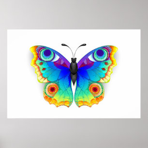 Rainbow Butterfly Peacock Eye Poster