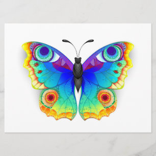 Rainbow Butterfly Peacock Eye Program