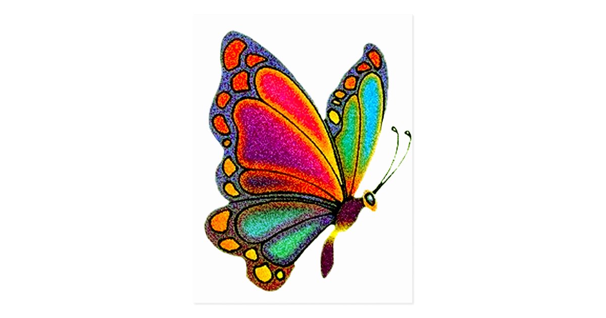 Rainbow Butterfly Postcard Zazzle Ca