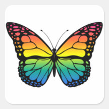 Rainbow butterfly