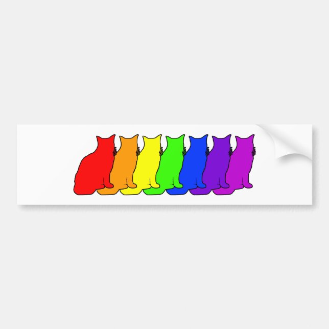 Rainbow Cat Bumper Sticker (Front)
