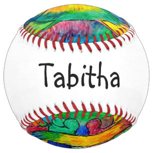 Rainbow Cat Softball