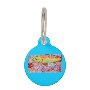 rainbow chasing fly pet tag