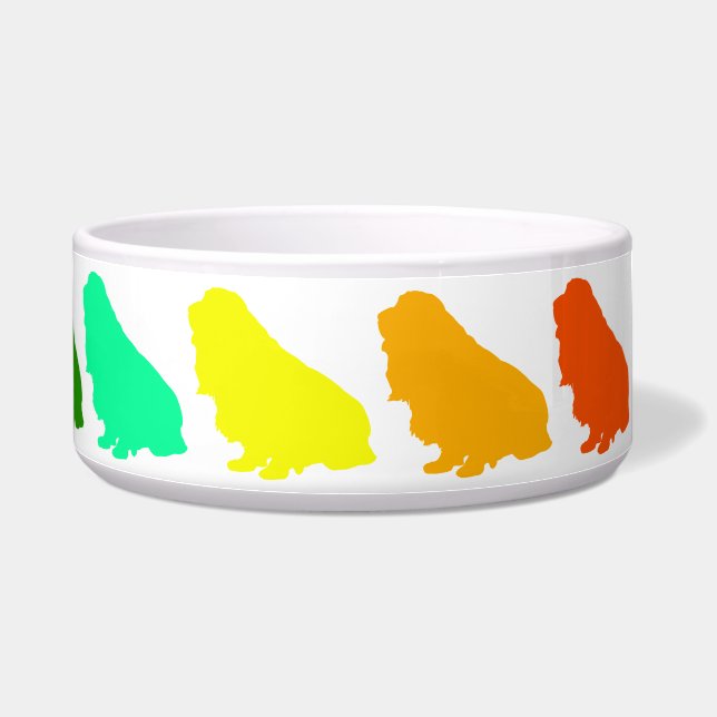 Rainbow Cocker Pet Bowl (Right)