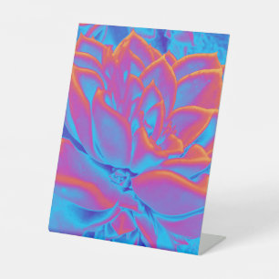 Rainbow colour Succulent plant Pedestal Sign