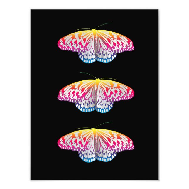 Rainbow-Coloured Butterflies  Photo Print (Front)