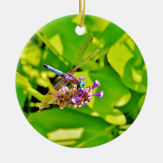 Rainbow coloured Dragonfly on a purple pink flowe Ceramic Ornament