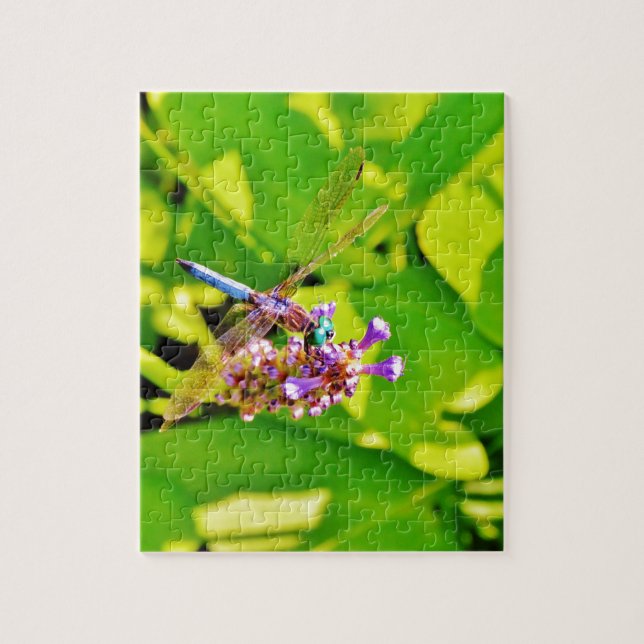 Rainbow coloured Dragonfly  on a purple pink flowe Jigsaw Puzzle (Vertical)