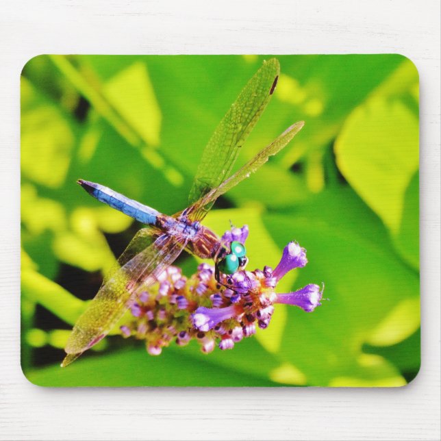Rainbow coloured Dragonfly  on a purple pink flowe Mouse Pad (Front)