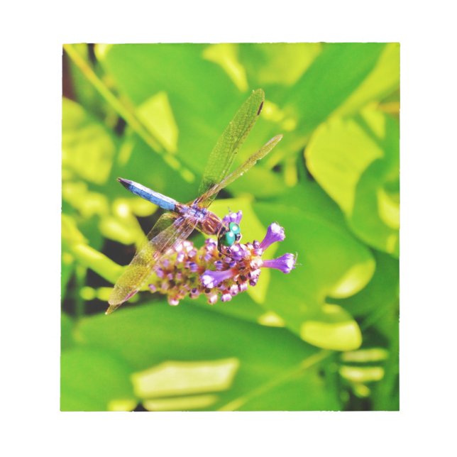Rainbow coloured Dragonfly  on a purple pink flowe Notepad (Front)