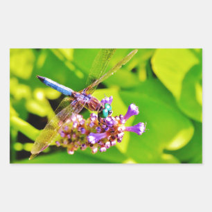 Rainbow coloured Dragonfly  on a purple pink flowe Sticker