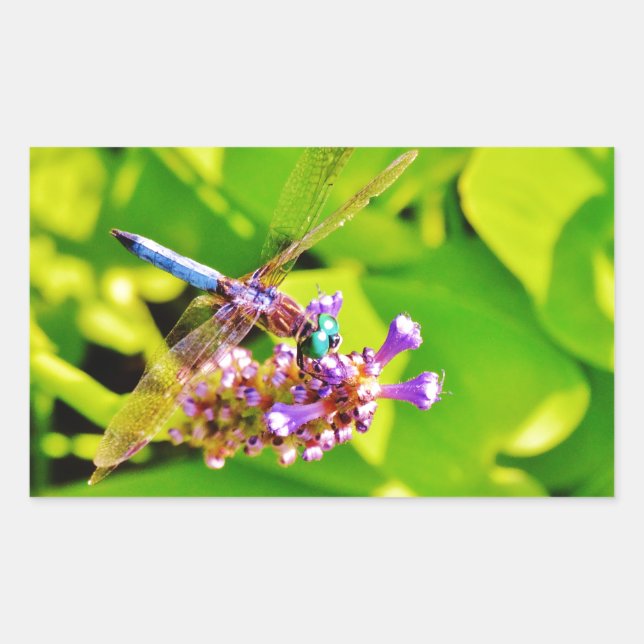 Rainbow coloured Dragonfly  on a purple pink flowe Sticker (Front)