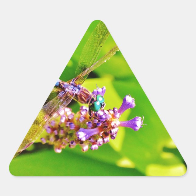 Rainbow coloured Dragonfly  on a purple pink flowe Triangle Sticker (Front)