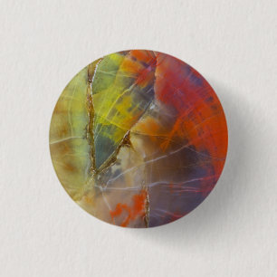 Rainbow Coloured Petrified Wood 1 Inch Round Button