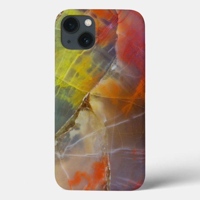 Rainbow Coloured Petrified Wood Case-Mate iPhone Case (Back)