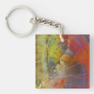 Rainbow Coloured Petrified Wood Keychain