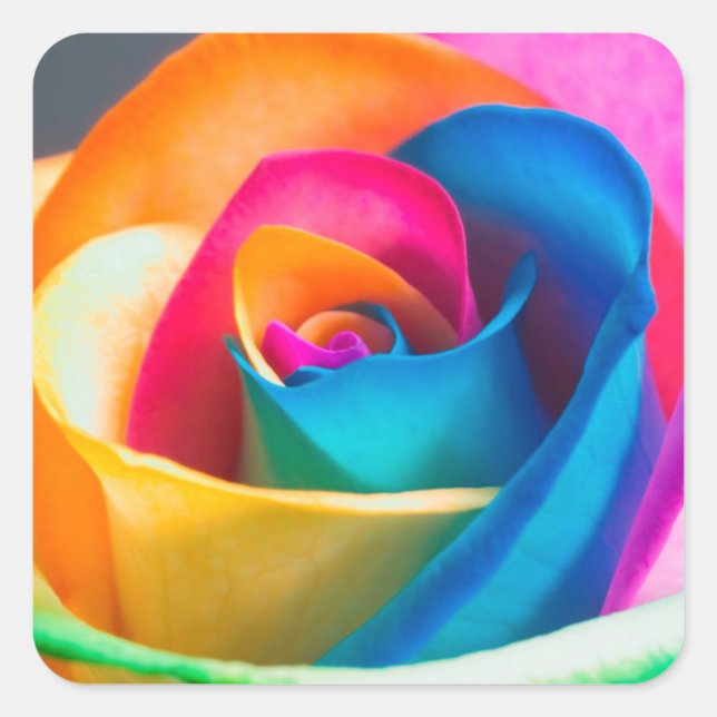 Rainbow Coloured Rose Stickers and Envelope Seals (Front)