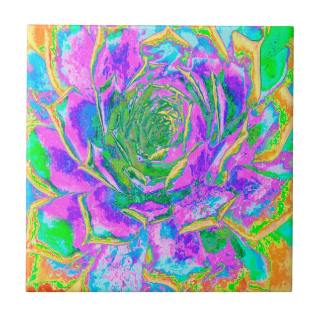 Rainbow Colours Fiesta Succulent Sedum Rosette Tile (Front)