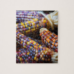 Rainbow Corn Cobs - Colors of Fall - 8x10 - 110 pc Jigsaw Puzzle
