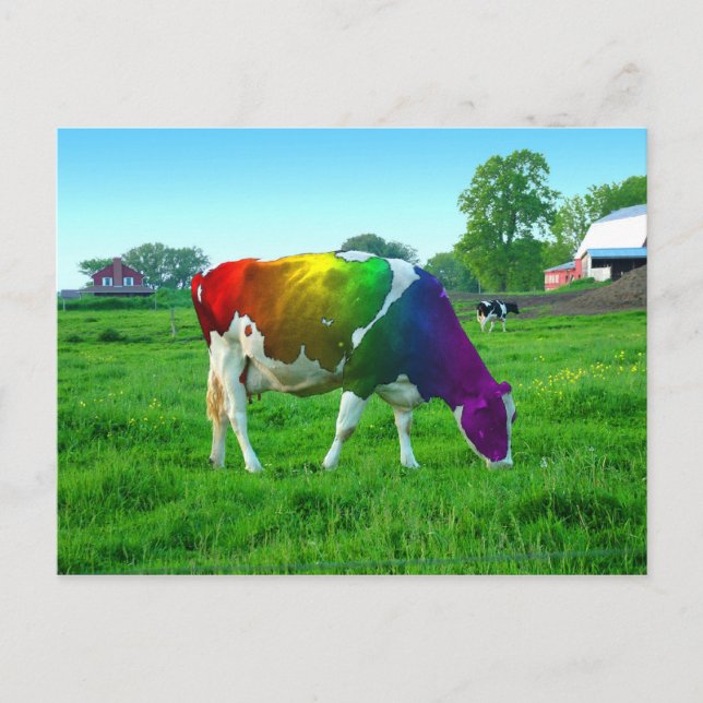 Rainbow Cow Postcard (Front)
