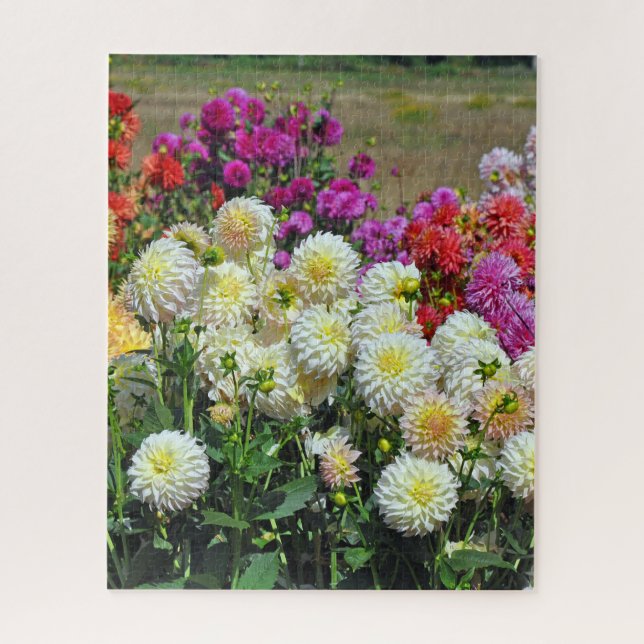 Rainbow dahlias garden jigsaw puzzle (Vertical)