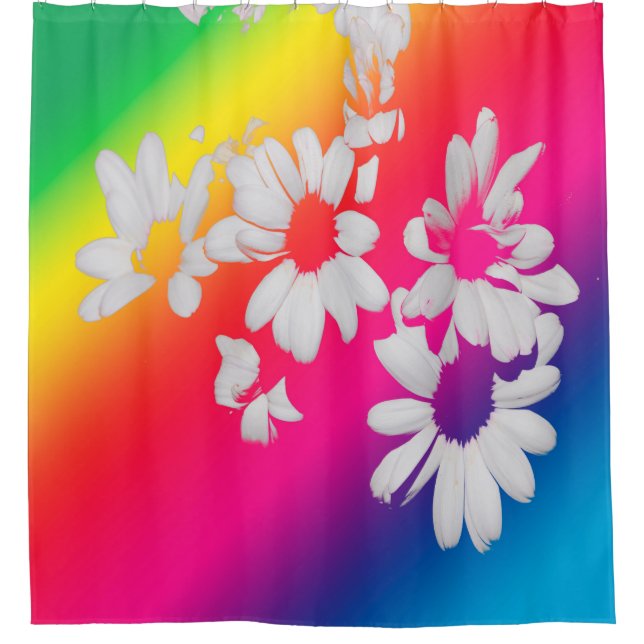 Rainbow daisies (Front)