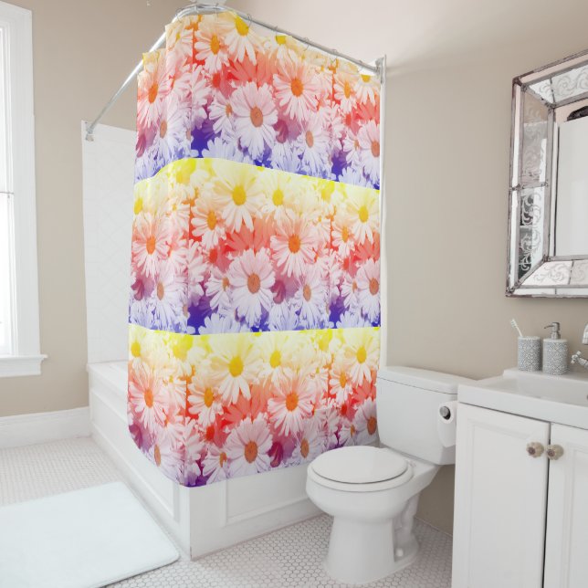Rainbow Daisies (In Situ)