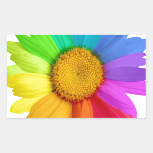 Rainbow Daisy Sticker